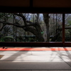 宝泉院 2020 師走 その１