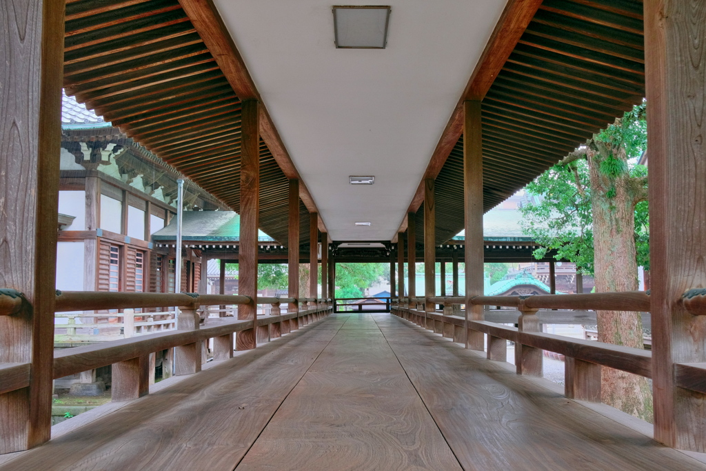 柴又帝釈天 2019 神無月 その８
