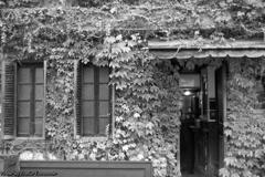 Antique Pizza House その９
