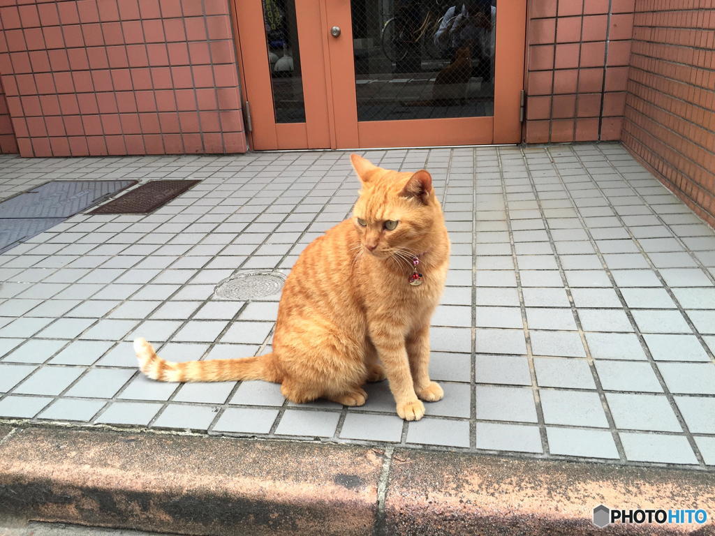 涼シクナッタニャ・・・　その１