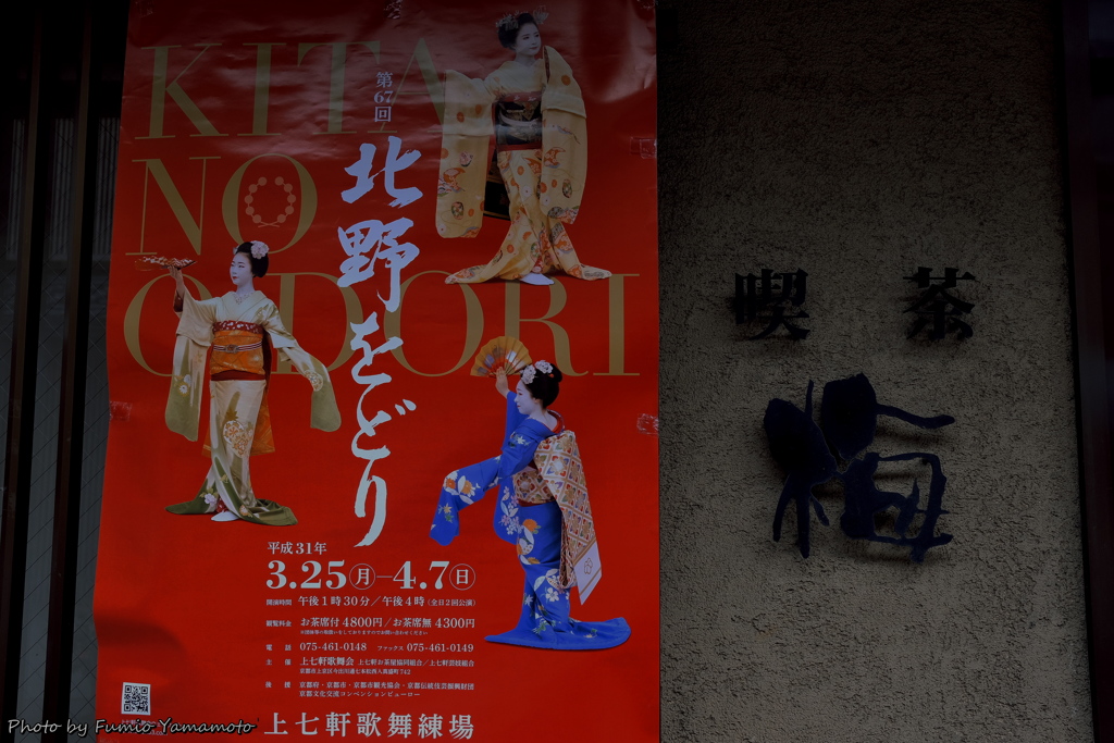 早春の上七軒 2019 その６