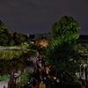 亀戸天神　２０１９卯月　その１０