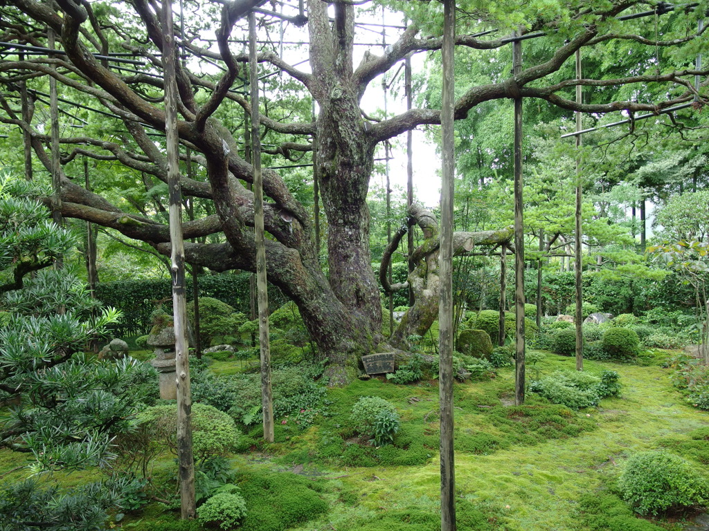宝泉院　その２
