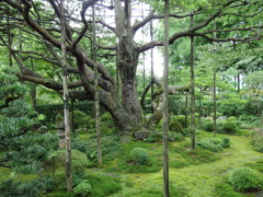 宝泉院　その２