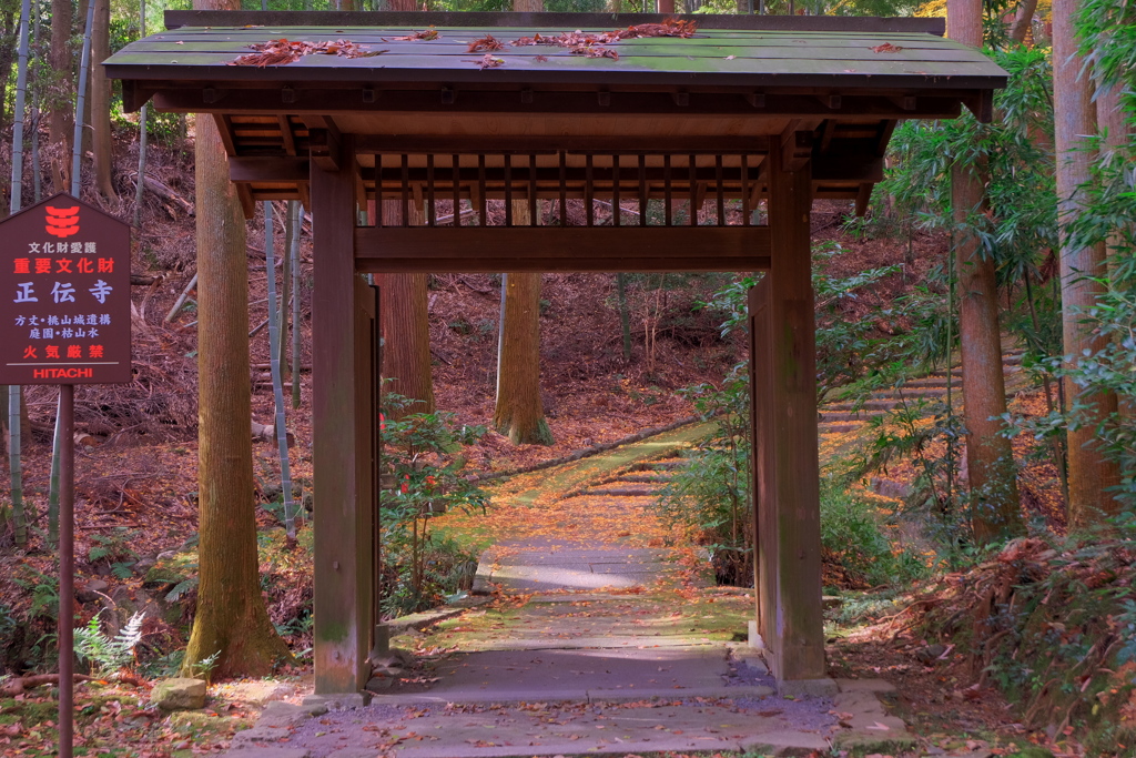 正伝寺 2019師走 蔵出し　その１