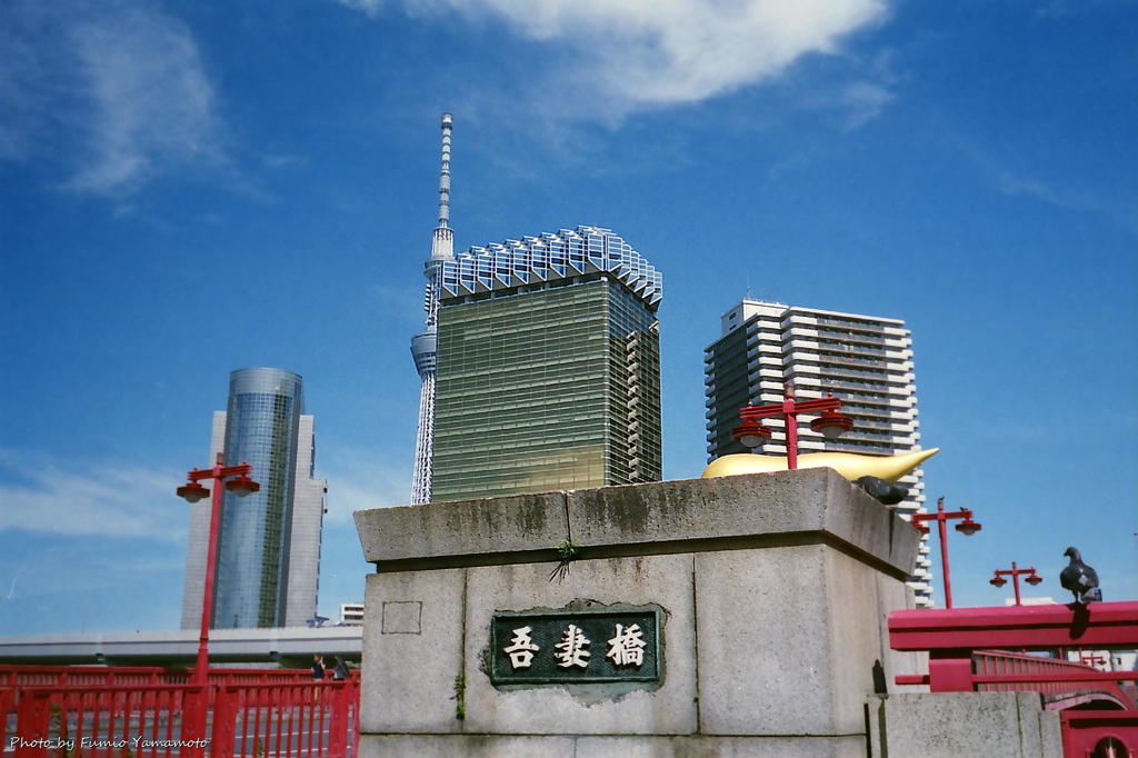 ご隠居(Nikon SP)の試写(浅草編)　その1３