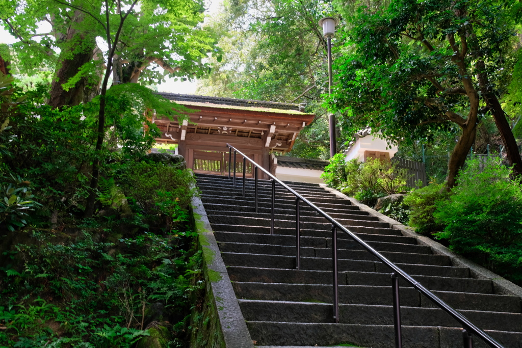 南禅寺 2020 文月 その２