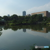 清澄庭園にて　その１
