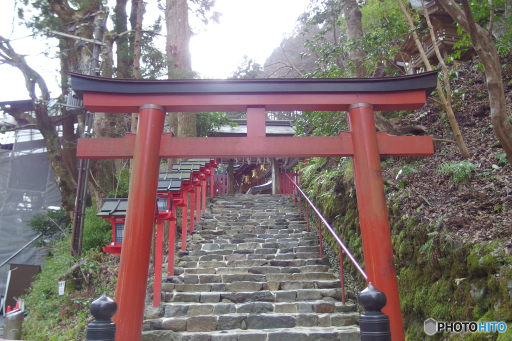 寒気が接近中・・・ 　その１６