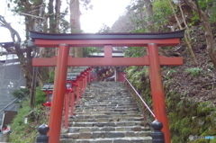 寒気が接近中・・・ 　その１６