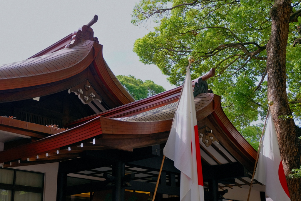 明治神宮　２０１９皐月　その３