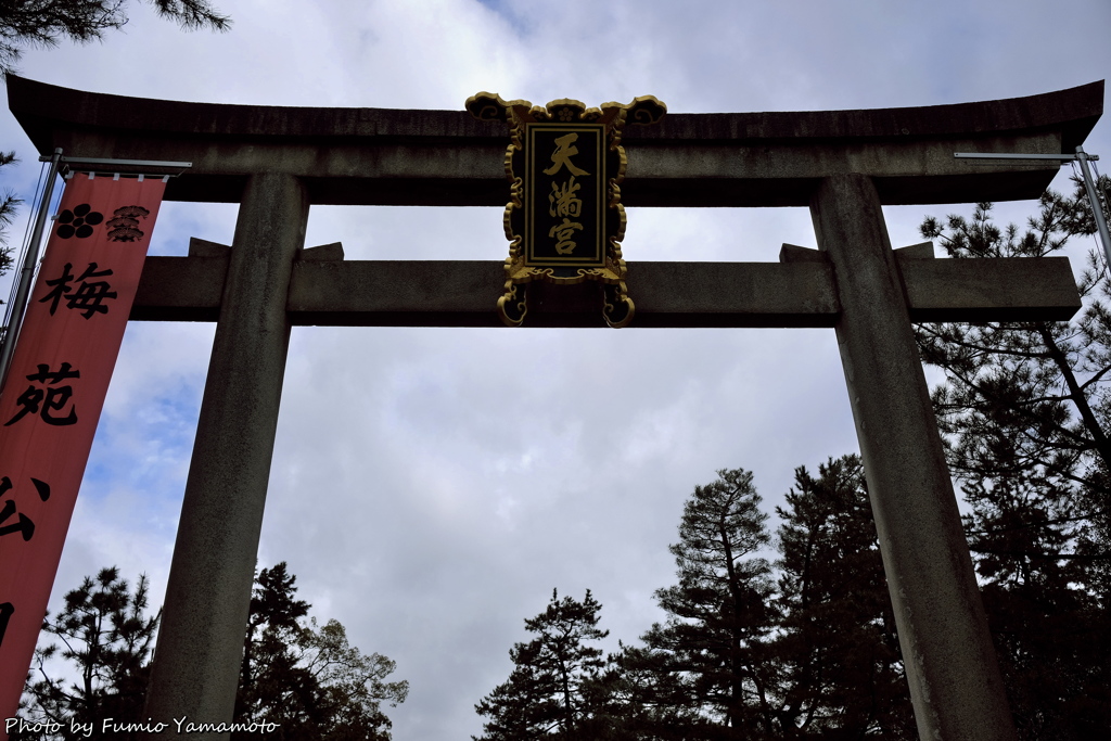 早春の北野天満宮 2019 その２