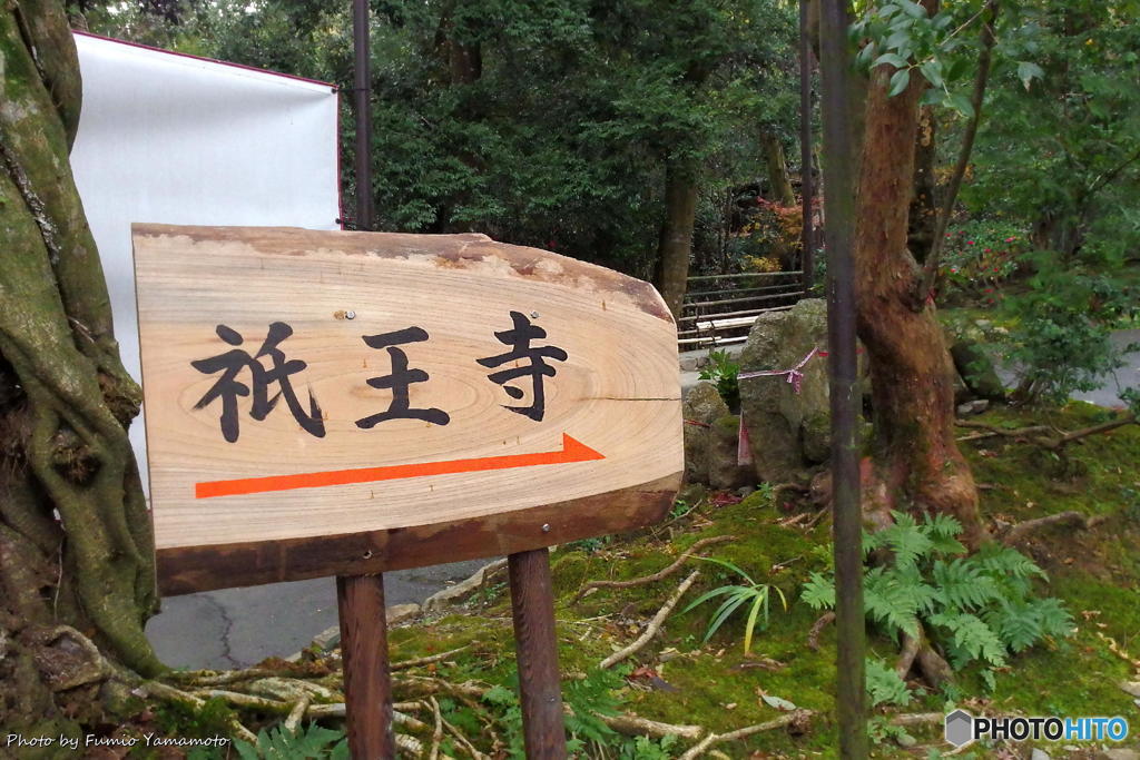 師走の嵯峨野にて　その２(祇王寺)