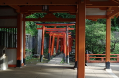 根津神社　鳥居２