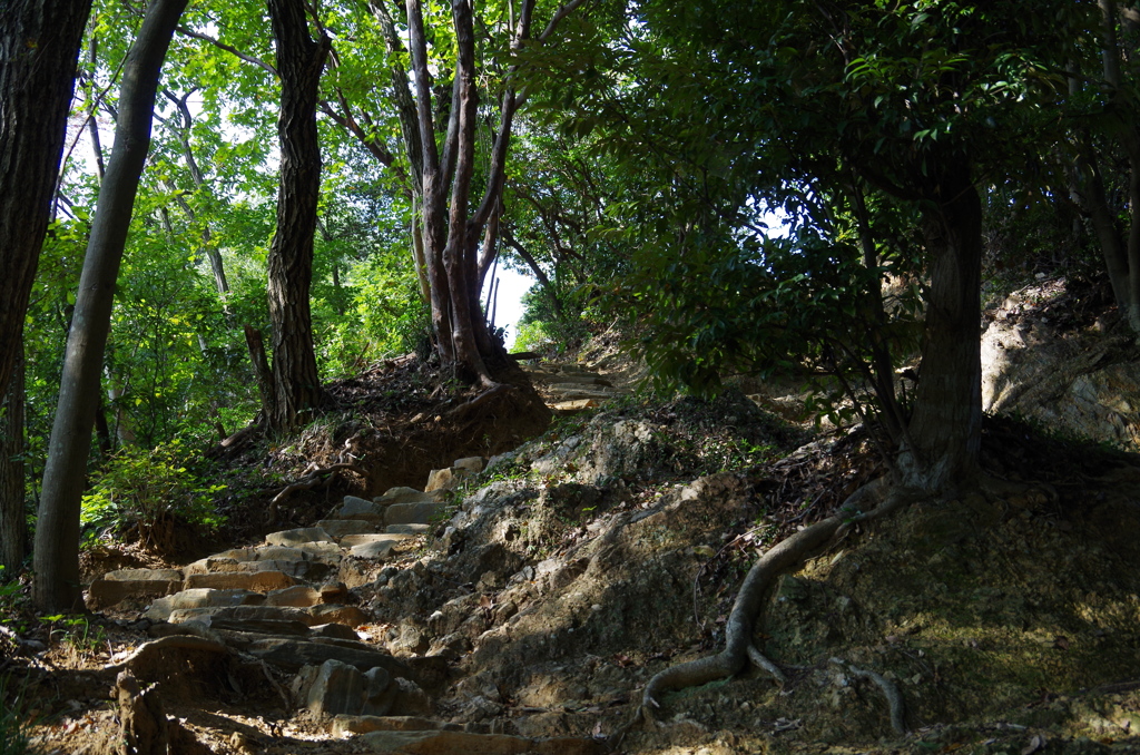 登山道