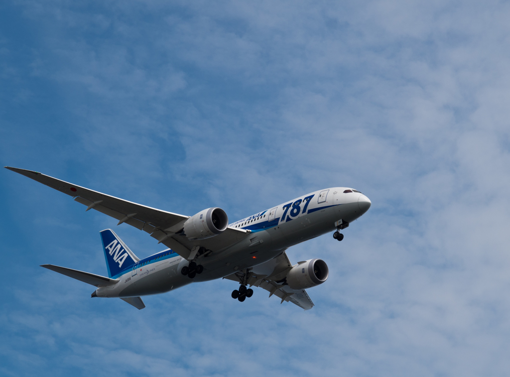 B787