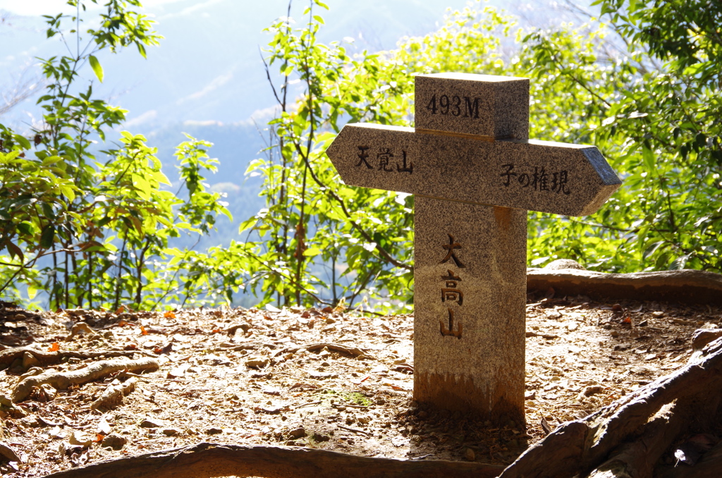 大高山　山頂