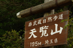 天覧山