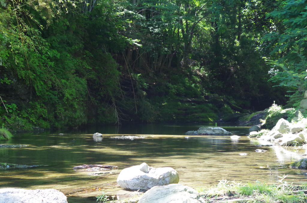 荒川支流