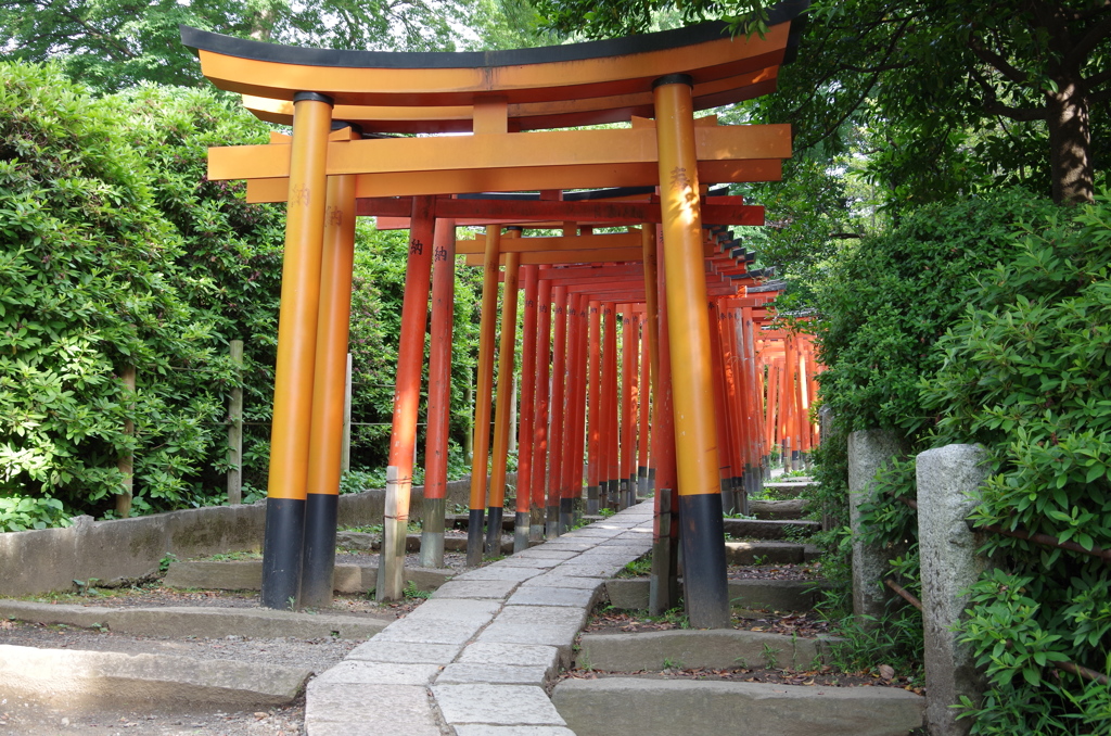 根津神社　鳥居