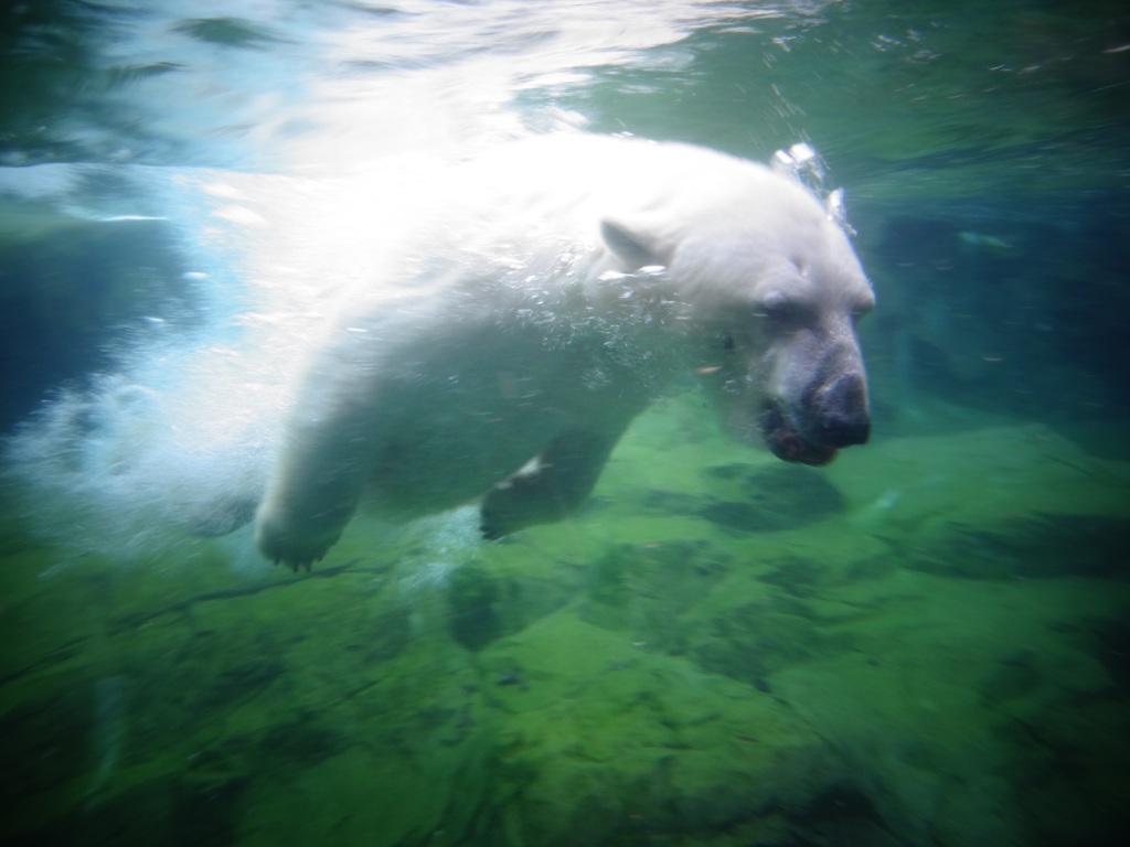 水