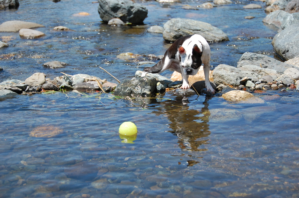 どうすりゃいいの？