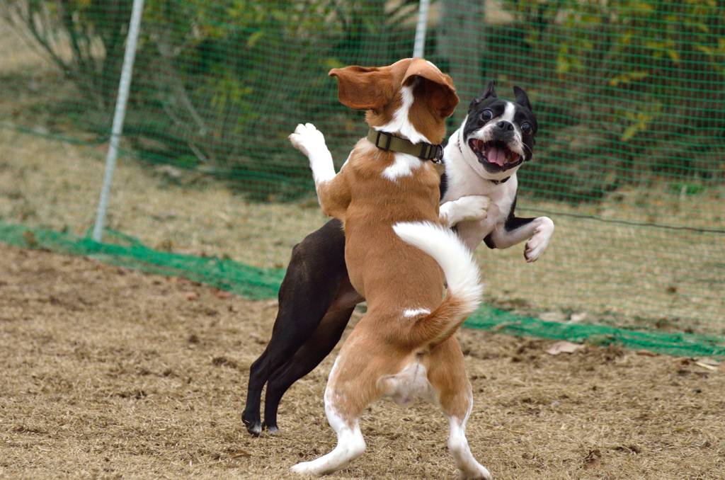あー、今思い出しました