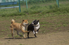 ちょっと、寄ってかない