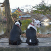もうちょっと待って