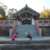 狛犬の練習中