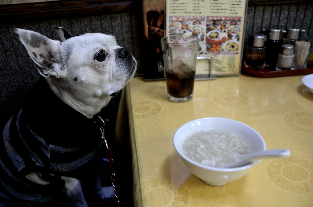 チャーハンまだー