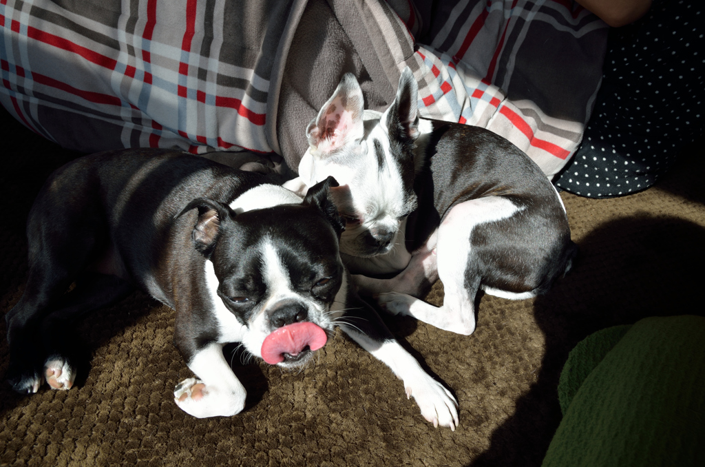 これでも女の子