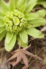 ふゆのおわり、はるのあしおと