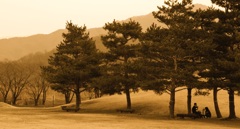 シアワセジカン