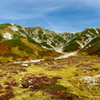 高山の紅葉