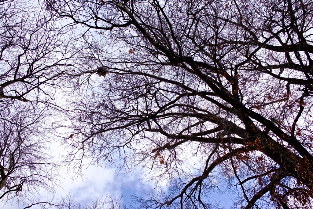 冬の空。