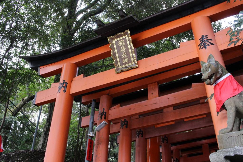 伏見稲荷 鳥居と