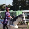 大井競馬場 誘導馬2