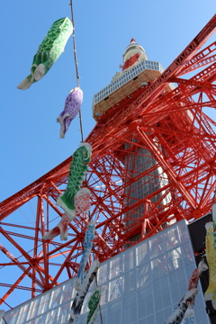 鯉のぼりと東京タワー