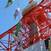 鯉のぼりと東京タワー