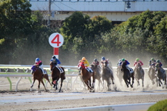 大井競馬場 コーナー1