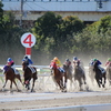 大井競馬場 コーナー1