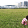 都会の公園で花を摘む。