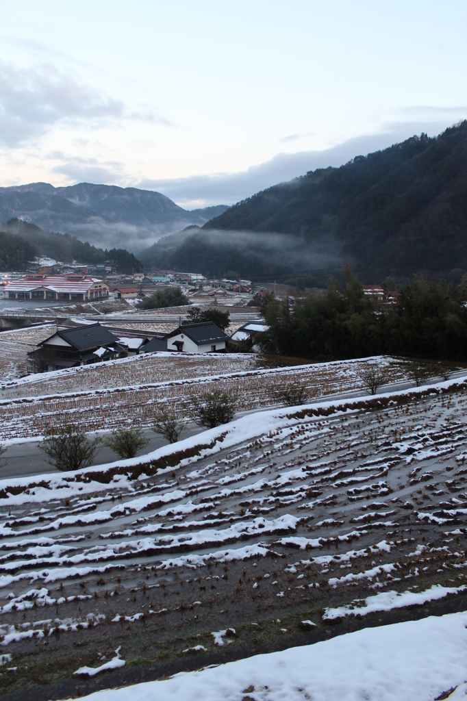 棚田の冬