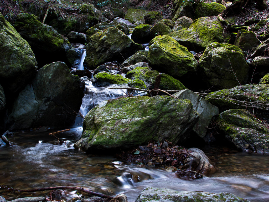 Moss stones