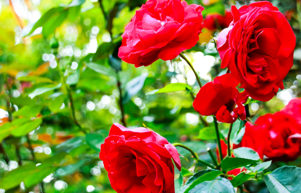 Red!