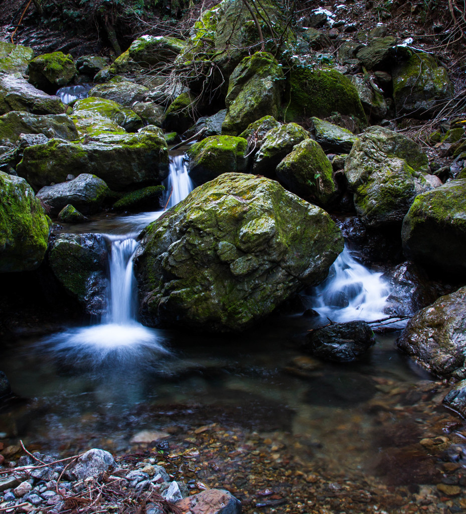 Moss stones 2