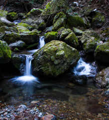 Moss stones 2