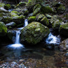 Moss stones 2