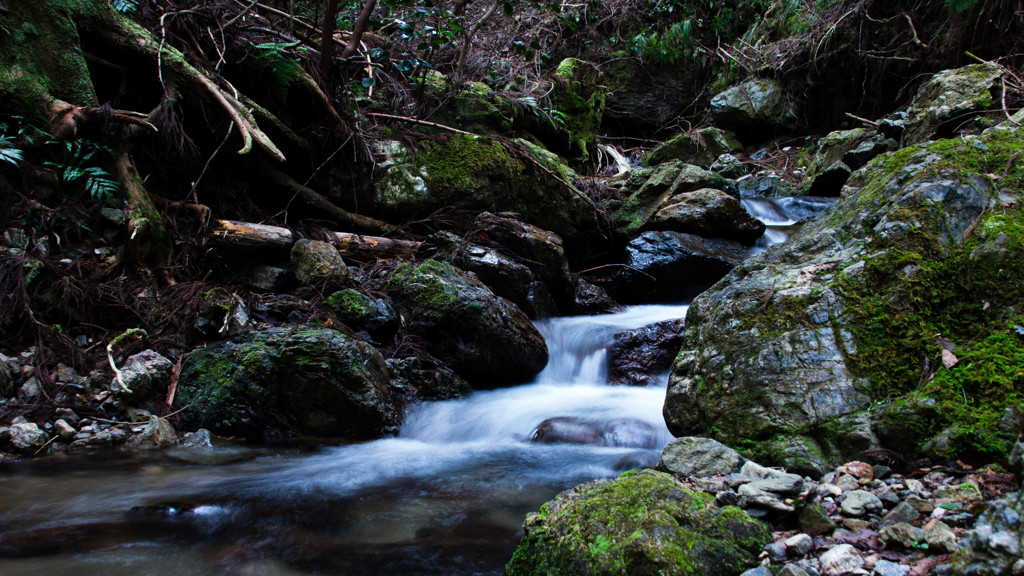 Flowing